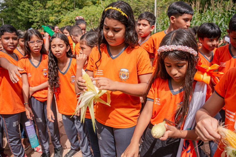  <div class='credito_fotos'>Foto: Karla Reis &nbsp;&nbsp;|&nbsp;&nbsp; <a href='/midias/2024/originais/7818_8762ff2b-c1f7-4908-d688-c8868c834b2b.jpg' download><i class='fa-solid fa-download'></i> Download</a></div>