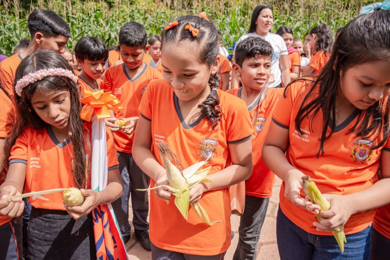  <div class='credito_fotos'>Foto: Karla Reis &nbsp;&nbsp;|&nbsp;&nbsp; <a href='/midias/2024/originais/7818_c0ae16a0-4ec8-aefe-5cbf-bb4cdef13cf7.jpg' download><i class='fa-solid fa-download'></i> Download</a></div>