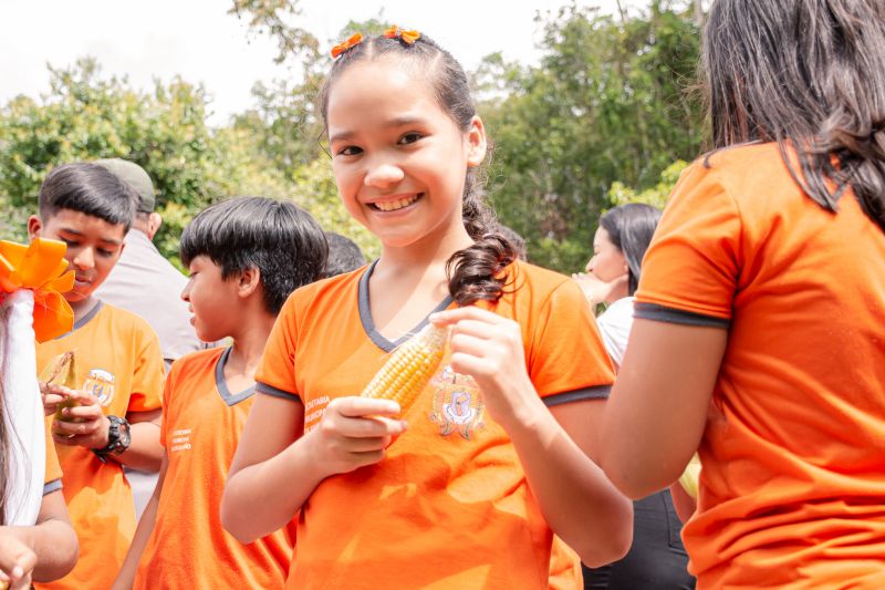  <div class='credito_fotos'>Foto: Karla Reis &nbsp;&nbsp;|&nbsp;&nbsp; <a href='/midias/2024/originais/7818_c1fbee1d-e9c7-778c-68f0-1f62794d8c41.jpg' download><i class='fa-solid fa-download'></i> Download</a></div>