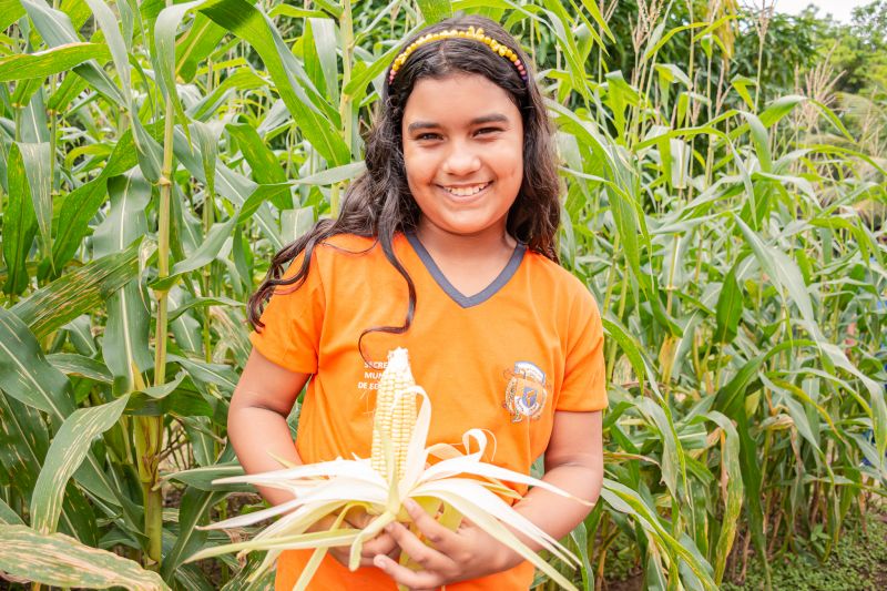  <div class='credito_fotos'>Foto: Karla Reis &nbsp;&nbsp;|&nbsp;&nbsp; <a href='/midias/2024/originais/7818_c4b1c173-ac7c-1251-4c7a-98fb16db2838.jpg' download><i class='fa-solid fa-download'></i> Download</a></div>