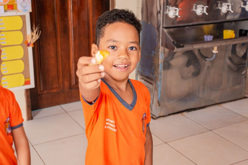  <div class='credito_fotos'>Foto: Karla Reis &nbsp;&nbsp;|&nbsp;&nbsp; <a href='/midias/2024/originais/7819_91353c82-bffb-efcc-add7-e2fec0c5f37d.jpg' download><i class='fa-solid fa-download'></i> Download</a></div>