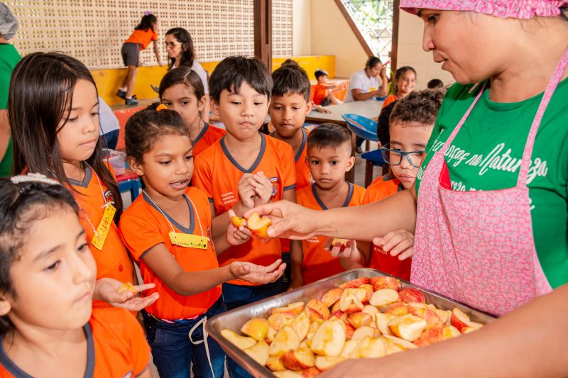  <div class='credito_fotos'>Foto: Karla Reis &nbsp;&nbsp;|&nbsp;&nbsp; <a href='/midias/2024/originais/7819_c49d9614-e324-6f3f-1a74-11eab8afb8fa.jpg' download><i class='fa-solid fa-download'></i> Download</a></div>