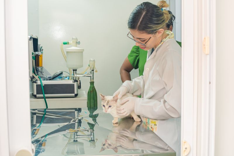  <div class='credito_fotos'>Foto: Karla Reis &nbsp;&nbsp;|&nbsp;&nbsp; <a href='/midias/2024/originais/7821_9fc04f18-d5cd-759a-fc01-41aa6a11c6f0.jpg' download><i class='fa-solid fa-download'></i> Download</a></div>