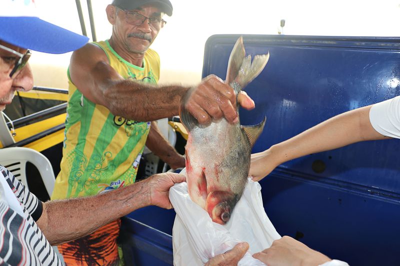 Feira do Pescado St Maria <div class='credito_fotos'>Foto: Márcio Souza &nbsp;&nbsp;|&nbsp;&nbsp; <a href='/midias/2024/originais/7844_2ac6cb86-dec1-686b-aebb-080265d7da1d.jpg' download><i class='fa-solid fa-download'></i> Download</a></div>