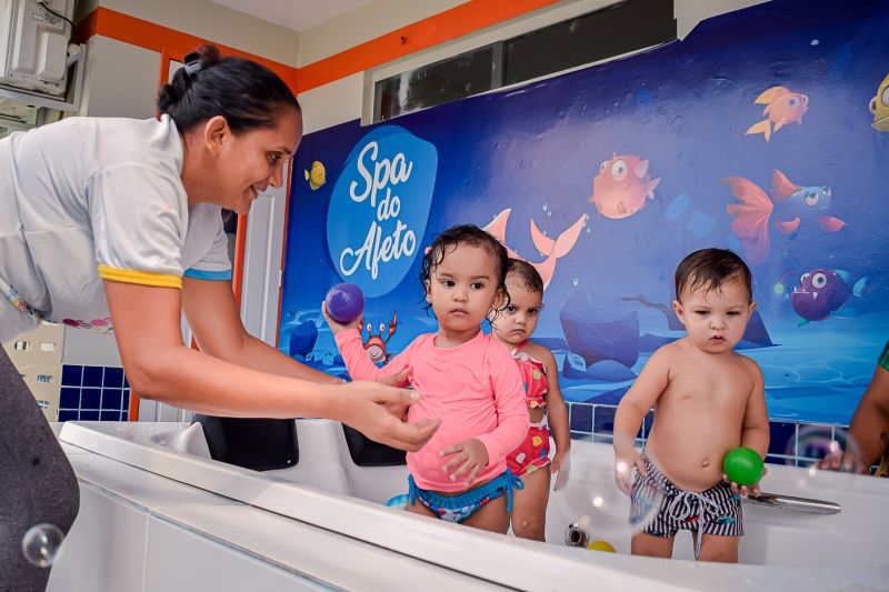  <div class='credito_fotos'>Foto: Karla Reis &nbsp;&nbsp;|&nbsp;&nbsp; <a href='/midias/2024/originais/7878_911159c0-6f75-00b5-76b6-249678c4f5e6.jpg' download><i class='fa-solid fa-download'></i> Download</a></div>