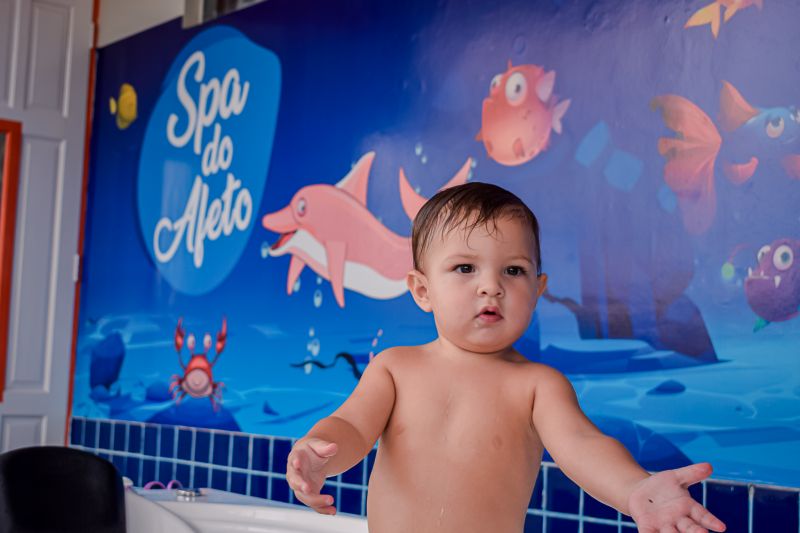  <div class='credito_fotos'>Foto: Karla Reis &nbsp;&nbsp;|&nbsp;&nbsp; <a href='/midias/2024/originais/7878_bdb162ba-fdcb-068e-39b0-148aa6b0242f.jpg' download><i class='fa-solid fa-download'></i> Download</a></div>