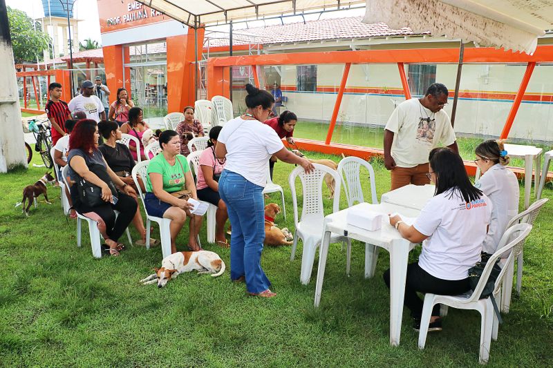 Açao Castra Móvel em Sta Maria <div class='credito_fotos'>Foto: Márcio Souza &nbsp;&nbsp;|&nbsp;&nbsp; <a href='/midias/2024/originais/7893_412db29e-acbc-0beb-8b46-0e54057ad50a.jpg' download><i class='fa-solid fa-download'></i> Download</a></div>