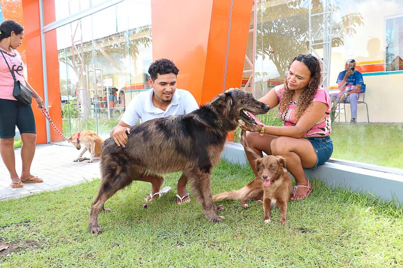 Açao Castra Móvel em Sta Maria <div class='credito_fotos'>Foto: Márcio Souza &nbsp;&nbsp;|&nbsp;&nbsp; <a href='/midias/2024/originais/7893_9f4513ea-df4c-02fe-cba7-6cc4457dcf3e.jpg' download><i class='fa-solid fa-download'></i> Download</a></div>