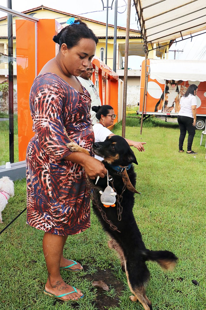 Açao Castra Móvel em Sta Maria <div class='credito_fotos'>Foto: Márcio Souza &nbsp;&nbsp;|&nbsp;&nbsp; <a href='/midias/2024/originais/7893_b87f7c4d-b86d-f9fd-c058-ea334b0bf000.jpg' download><i class='fa-solid fa-download'></i> Download</a></div>