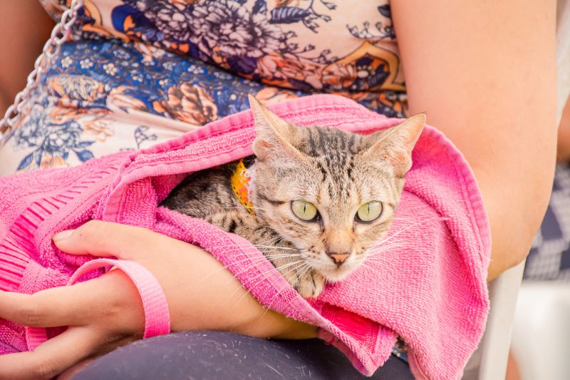  <div class='credito_fotos'>Foto: Karla Reis &nbsp;&nbsp;|&nbsp;&nbsp; <a href='/midias/2024/originais/7895_02f8bbce-d773-99da-07ad-4f7906b99ed0.jpg' download><i class='fa-solid fa-download'></i> Download</a></div>