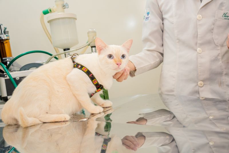  <div class='credito_fotos'>Foto: Karla Reis &nbsp;&nbsp;|&nbsp;&nbsp; <a href='/midias/2024/originais/7895_40b98cd7-6aa5-a42f-e25b-e55f9079c984.jpg' download><i class='fa-solid fa-download'></i> Download</a></div>