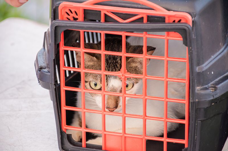  <div class='credito_fotos'>Foto: Karla Reis &nbsp;&nbsp;|&nbsp;&nbsp; <a href='/midias/2024/originais/7895_ae2bc169-2856-29c7-ae25-184ea009ba7f.jpg' download><i class='fa-solid fa-download'></i> Download</a></div>