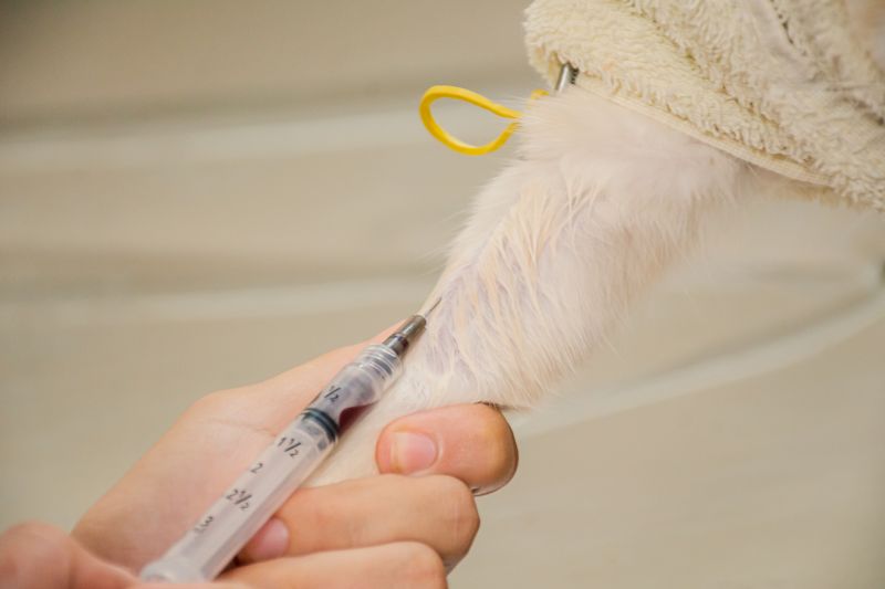  <div class='credito_fotos'>Foto: Karla Reis &nbsp;&nbsp;|&nbsp;&nbsp; <a href='/midias/2024/originais/7895_b418d932-2b1a-2314-a85b-a9d0299a070a.jpg' download><i class='fa-solid fa-download'></i> Download</a></div>