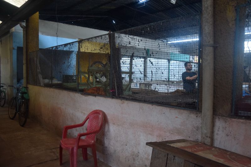  <div class='credito_fotos'>Foto: Karla Reis &nbsp;&nbsp;|&nbsp;&nbsp; <a href='/midias/2024/originais/7912_0877f685-0176-65bb-43bd-53e7e7e9c08e.jpg' download><i class='fa-solid fa-download'></i> Download</a></div>