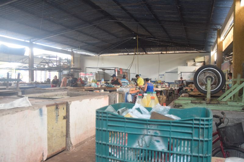  <div class='credito_fotos'>Foto: Karla Reis &nbsp;&nbsp;|&nbsp;&nbsp; <a href='/midias/2024/originais/7912_115da927-9e97-466a-8024-22056bb319b6.jpg' download><i class='fa-solid fa-download'></i> Download</a></div>