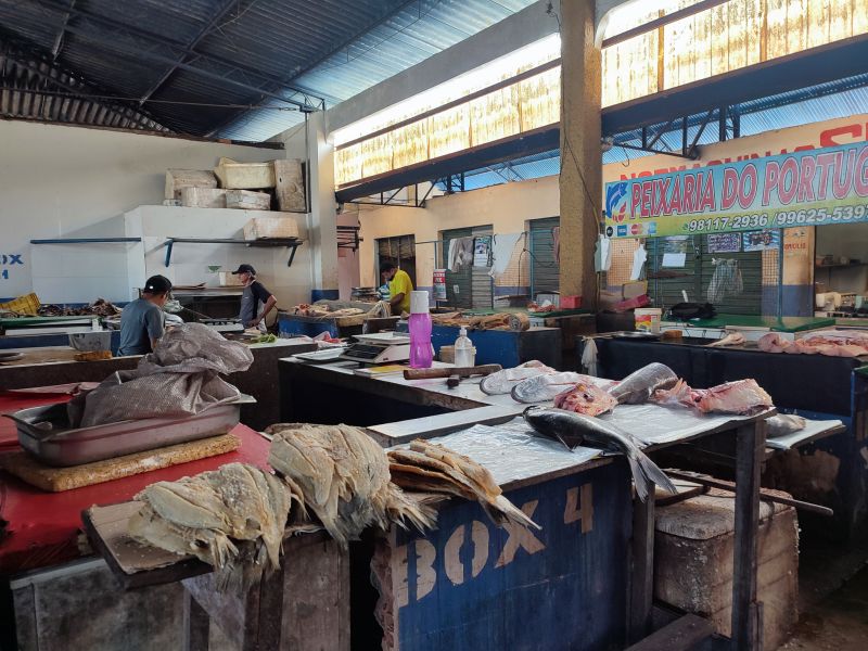  <div class='credito_fotos'>Foto: Karla Reis &nbsp;&nbsp;|&nbsp;&nbsp; <a href='/midias/2024/originais/7912_36a4ebad-25e0-6db4-a77f-cdd32687fd3f.jpg' download><i class='fa-solid fa-download'></i> Download</a></div>