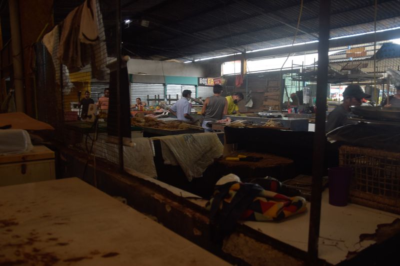  <div class='credito_fotos'>Foto: Karla Reis &nbsp;&nbsp;|&nbsp;&nbsp; <a href='/midias/2024/originais/7912_3c1a4053-9a14-db5f-fb1a-4f8d37049835.jpg' download><i class='fa-solid fa-download'></i> Download</a></div>