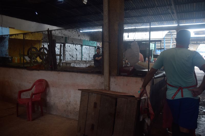  <div class='credito_fotos'>Foto: Karla Reis &nbsp;&nbsp;|&nbsp;&nbsp; <a href='/midias/2024/originais/7912_6ae25c1c-be7c-1aaf-1dc3-5d972aba14e7.jpg' download><i class='fa-solid fa-download'></i> Download</a></div>