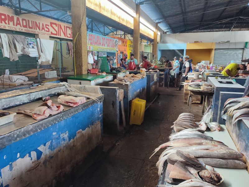  <div class='credito_fotos'>Foto: Karla Reis &nbsp;&nbsp;|&nbsp;&nbsp; <a href='/midias/2024/originais/7912_781401df-b2f8-1a44-3a45-bccbc145eb26.jpg' download><i class='fa-solid fa-download'></i> Download</a></div>