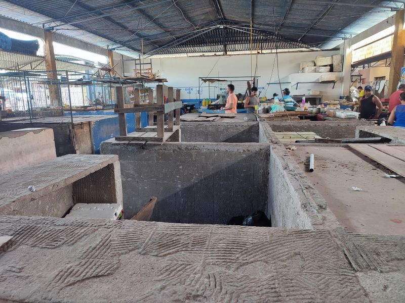  <div class='credito_fotos'>Foto: Karla Reis &nbsp;&nbsp;|&nbsp;&nbsp; <a href='/midias/2024/originais/7912_df792d15-8295-9cc4-e1ea-48e25dae48a4.jpg' download><i class='fa-solid fa-download'></i> Download</a></div>