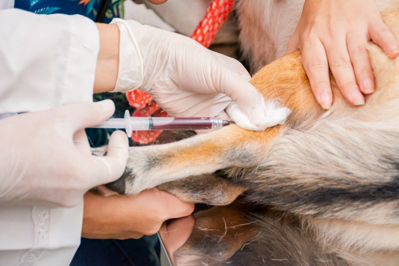  <div class='credito_fotos'>Foto: Karla Reis &nbsp;&nbsp;|&nbsp;&nbsp; <a href='/midias/2024/originais/7933_13978f6c-dedc-6a40-3f45-6b7bdeddefe2.jpg' download><i class='fa-solid fa-download'></i> Download</a></div>