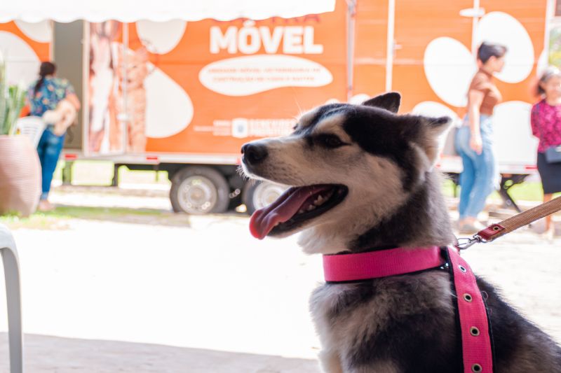  <div class='credito_fotos'>Foto: Karla Reis &nbsp;&nbsp;|&nbsp;&nbsp; <a href='/midias/2024/originais/7933_623fd5bf-cac6-9c11-4350-53138aeedb2a.jpg' download><i class='fa-solid fa-download'></i> Download</a></div>