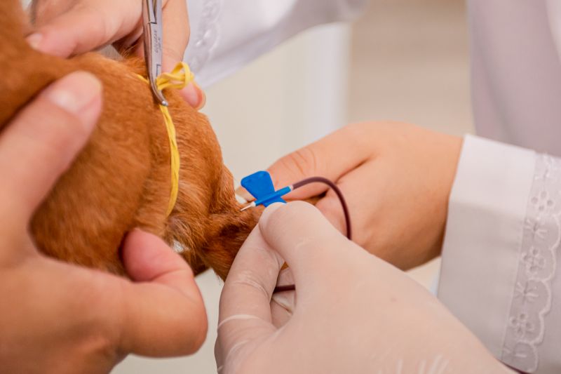  <div class='credito_fotos'>Foto: Karla Reis &nbsp;&nbsp;|&nbsp;&nbsp; <a href='/midias/2024/originais/7933_6d6a0ba4-98b2-cf2e-ea83-586c0a2c2e0e.jpg' download><i class='fa-solid fa-download'></i> Download</a></div>