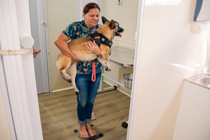  <div class='credito_fotos'>Foto: Karla Reis &nbsp;&nbsp;|&nbsp;&nbsp; <a href='/midias/2024/originais/7933_7aa4c549-1052-0969-a254-b52bb1d417cf.jpg' download><i class='fa-solid fa-download'></i> Download</a></div>