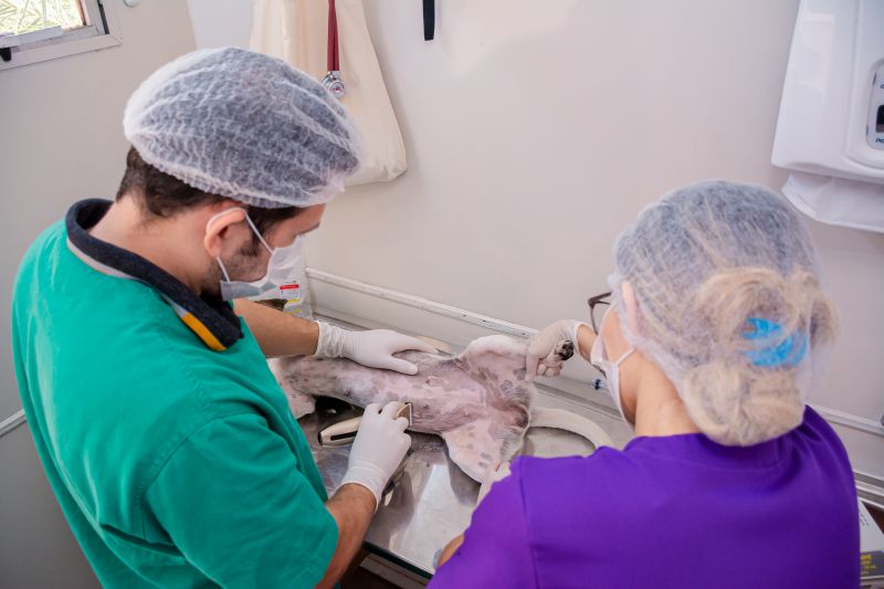  <div class='credito_fotos'>Foto: Karla Reis &nbsp;&nbsp;|&nbsp;&nbsp; <a href='/midias/2024/originais/7935_075afe8e-37c8-0164-9296-9c56d319a394.jpg' download><i class='fa-solid fa-download'></i> Download</a></div>