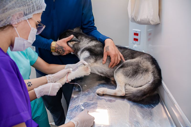  <div class='credito_fotos'>Foto: Karla Reis &nbsp;&nbsp;|&nbsp;&nbsp; <a href='/midias/2024/originais/7935_4f28692b-c947-5fad-c00f-5f1f202282be.jpg' download><i class='fa-solid fa-download'></i> Download</a></div>