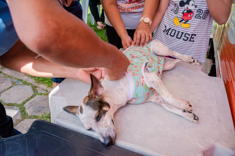  <div class='credito_fotos'>Foto: Karla Reis &nbsp;&nbsp;|&nbsp;&nbsp; <a href='/midias/2024/originais/7935_9678409e-7b41-258e-f066-e658c04ba7c6.jpg' download><i class='fa-solid fa-download'></i> Download</a></div>