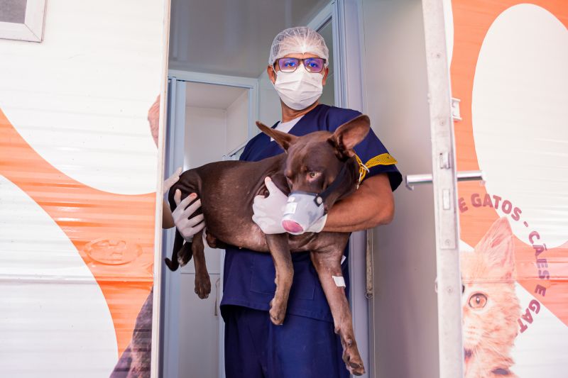  <div class='credito_fotos'>Foto: Karla Reis &nbsp;&nbsp;|&nbsp;&nbsp; <a href='/midias/2024/originais/7935_a9221ed0-12a5-2b37-9b0b-10bfc7db7cf0.jpg' download><i class='fa-solid fa-download'></i> Download</a></div>