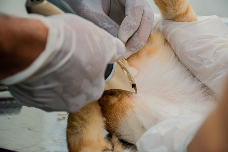  <div class='credito_fotos'>Foto: Karla Reis &nbsp;&nbsp;|&nbsp;&nbsp; <a href='/midias/2024/originais/7937_05fa40a0-8cc5-8157-e748-96ead9ec9dd3.jpg' download><i class='fa-solid fa-download'></i> Download</a></div>