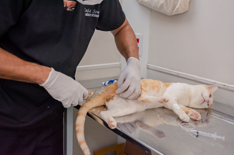  <div class='credito_fotos'>Foto: Karla Reis &nbsp;&nbsp;|&nbsp;&nbsp; <a href='/midias/2024/originais/7937_478ed99b-024d-b9d6-f30e-7433ea9c934a.jpg' download><i class='fa-solid fa-download'></i> Download</a></div>