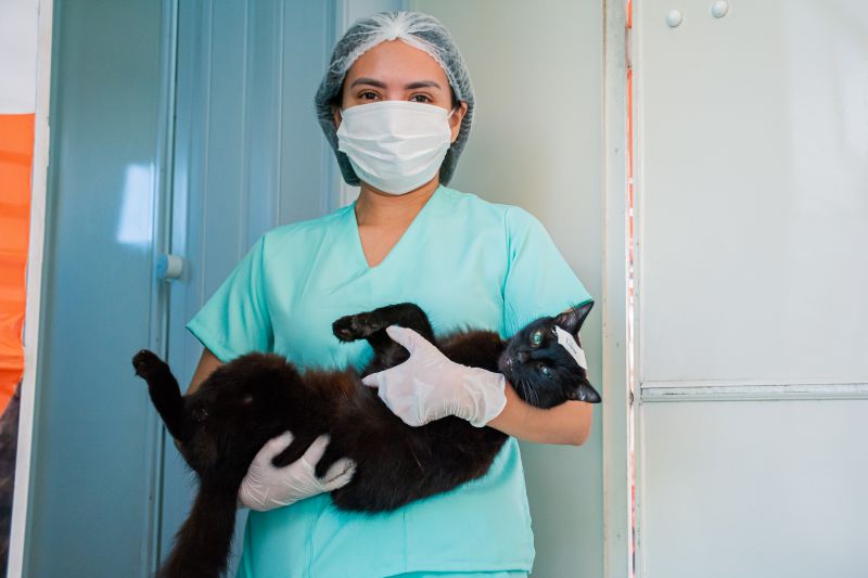  <div class='credito_fotos'>Foto: Karla Reis &nbsp;&nbsp;|&nbsp;&nbsp; <a href='/midias/2024/originais/7937_4995640f-0da7-338d-5865-6f6d25f194f2.jpg' download><i class='fa-solid fa-download'></i> Download</a></div>