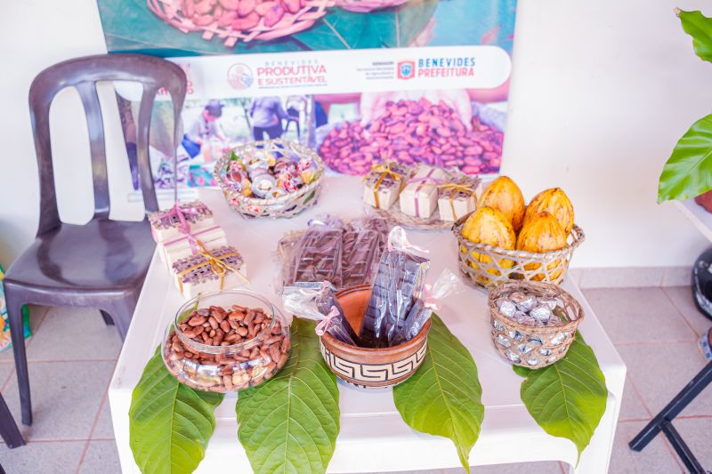  <div class='credito_fotos'>Foto: Karla Reis &nbsp;&nbsp;|&nbsp;&nbsp; <a href='/midias/2024/originais/7965_154311d4-8b69-3fa3-9ec1-1158802ec4f0.jpg' download><i class='fa-solid fa-download'></i> Download</a></div>