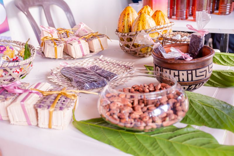  <div class='credito_fotos'>Foto: Karla Reis &nbsp;&nbsp;|&nbsp;&nbsp; <a href='/midias/2024/originais/7965_2ad4e978-7b9a-a252-2a0b-0fc33d10ca8c.jpg' download><i class='fa-solid fa-download'></i> Download</a></div>