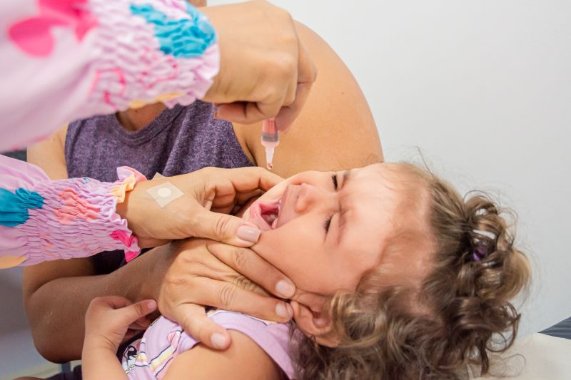  <div class='credito_fotos'>Foto: Karla Reis &nbsp;&nbsp;|&nbsp;&nbsp; <a href='/midias/2024/originais/7967_0b7a41f7-f09e-c294-80b2-6b4a7eff1953.jpg' download><i class='fa-solid fa-download'></i> Download</a></div>