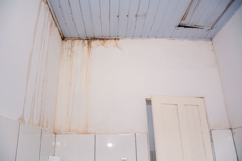  <div class='credito_fotos'>Foto: Karla Reis &nbsp;&nbsp;|&nbsp;&nbsp; <a href='/midias/2024/originais/7981_007e3cc2-74b7-23db-aef5-aa601adeb9a1.jpg' download><i class='fa-solid fa-download'></i> Download</a></div>