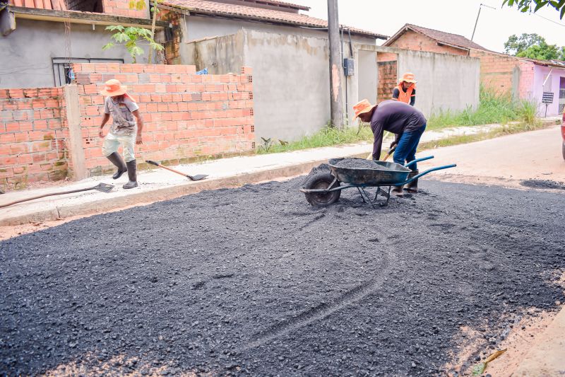  <div class='credito_fotos'>Foto: Karla Reis &nbsp;&nbsp;|&nbsp;&nbsp; <a href='/midias/2024/originais/7990_4f041d57-7930-8313-8b2f-21778af85c43.jpg' download><i class='fa-solid fa-download'></i> Download</a></div>