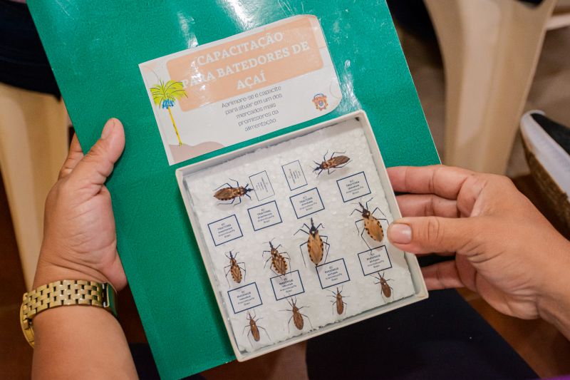  <div class='credito_fotos'>Foto: Karla Reis &nbsp;&nbsp;|&nbsp;&nbsp; <a href='/midias/2024/originais/8000_14d783a0-f6b3-92ed-1c8c-5ec48372cee2.jpg' download><i class='fa-solid fa-download'></i> Download</a></div>