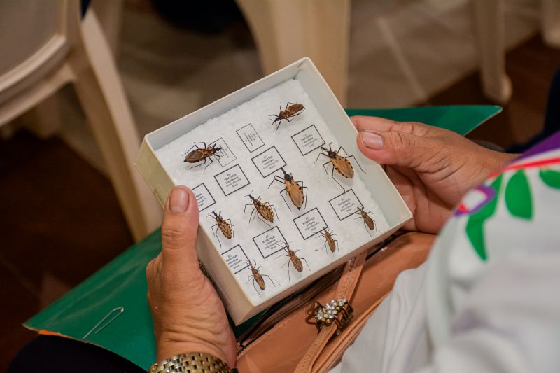  <div class='credito_fotos'>Foto: Karla Reis &nbsp;&nbsp;|&nbsp;&nbsp; <a href='/midias/2024/originais/8000_f45bebd0-e44f-d851-52b3-5d2476699c41.jpg' download><i class='fa-solid fa-download'></i> Download</a></div>