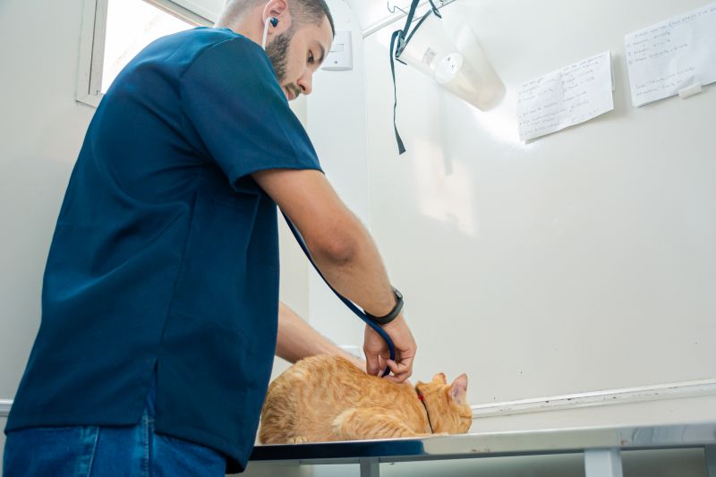  <div class='credito_fotos'>Foto: Karla Reis &nbsp;&nbsp;|&nbsp;&nbsp; <a href='/midias/2024/originais/8021_2ea6a0dc-cec9-9e30-0041-d75790f1405e.jpg' download><i class='fa-solid fa-download'></i> Download</a></div>