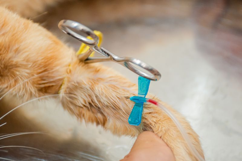  <div class='credito_fotos'>Foto: Karla Reis &nbsp;&nbsp;|&nbsp;&nbsp; <a href='/midias/2024/originais/8021_5b312b99-5443-91a8-48c6-dedd9307d240.jpg' download><i class='fa-solid fa-download'></i> Download</a></div>