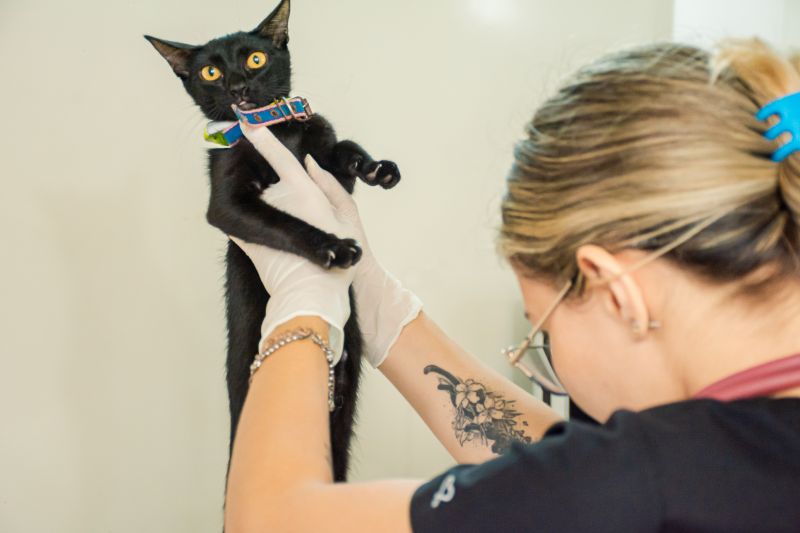  <div class='credito_fotos'>Foto: Karla Reis &nbsp;&nbsp;|&nbsp;&nbsp; <a href='/midias/2024/originais/8021_b5ab045f-9fea-12e2-1681-5407251475e5.jpg' download><i class='fa-solid fa-download'></i> Download</a></div>