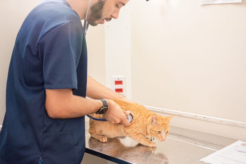  <div class='credito_fotos'>Foto: Karla Reis &nbsp;&nbsp;|&nbsp;&nbsp; <a href='/midias/2024/originais/8021_bb13de0d-d6e7-97ab-48b8-4008413d6bd1.jpg' download><i class='fa-solid fa-download'></i> Download</a></div>