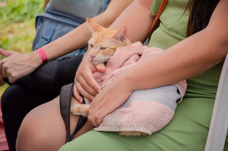  <div class='credito_fotos'>Foto: Karla Reis &nbsp;&nbsp;|&nbsp;&nbsp; <a href='/midias/2024/originais/8021_e8c2be4a-8d32-cdc5-ac1d-915a4aafec66.jpg' download><i class='fa-solid fa-download'></i> Download</a></div>