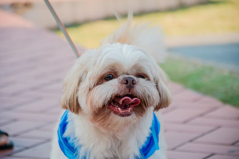  <div class='credito_fotos'>Foto: Karla Reis &nbsp;&nbsp;|&nbsp;&nbsp; <a href='/midias/2024/originais/8022_1fff2c9f-4cf2-1372-3b2c-b3d76079bd04.jpg' download><i class='fa-solid fa-download'></i> Download</a></div>