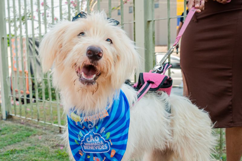  <div class='credito_fotos'>Foto: Karla Reis &nbsp;&nbsp;|&nbsp;&nbsp; <a href='/midias/2024/originais/8022_392a7106-63f7-55eb-093e-ce2cf3c622bb.jpg' download><i class='fa-solid fa-download'></i> Download</a></div>