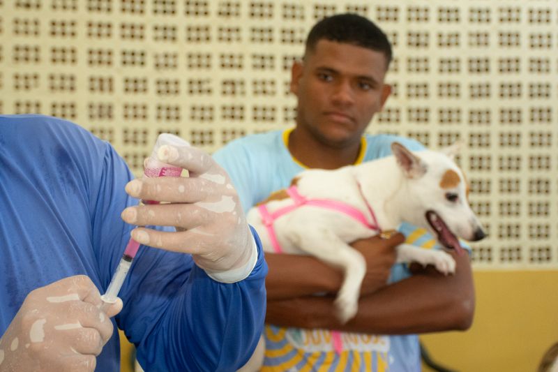  <div class='credito_fotos'>Foto: Karla Reis &nbsp;&nbsp;|&nbsp;&nbsp; <a href='/midias/2024/originais/8022_6cf0ceb5-e98e-c346-0c39-99fd2d504bd1.jpg' download><i class='fa-solid fa-download'></i> Download</a></div>